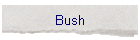 Bush